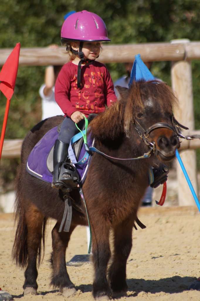Découverte et initiation à poney