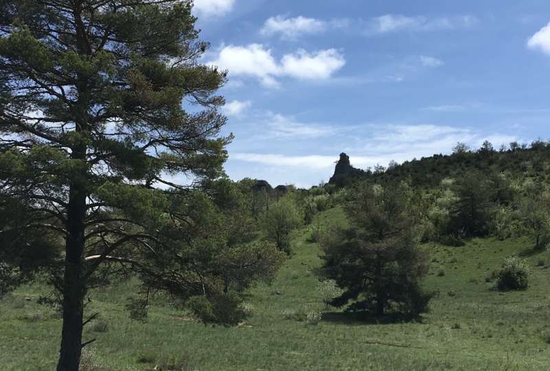 Larzac Patrimoine Mondial de L'Unesco 2jours/2nuits