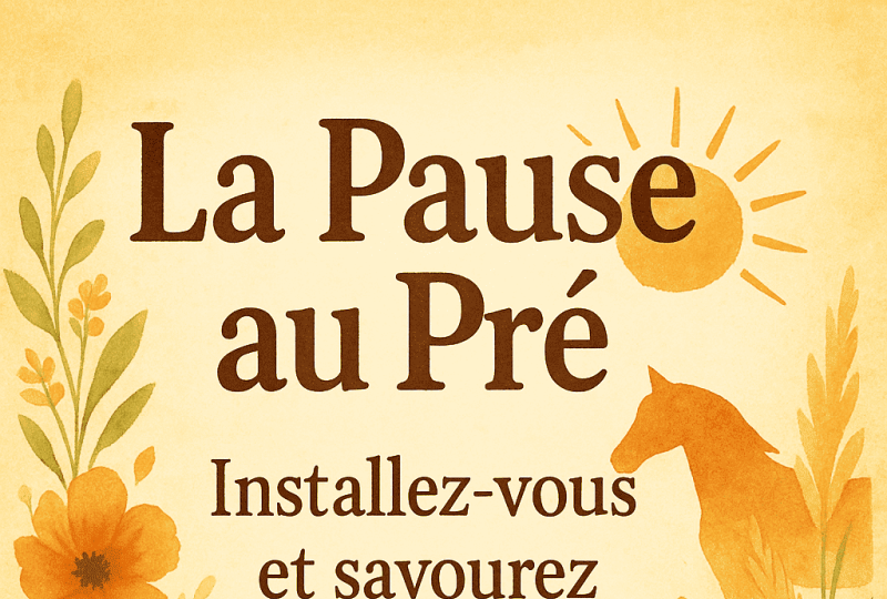 DECOUVERTE DE L'UNIVERS DES PONEYS