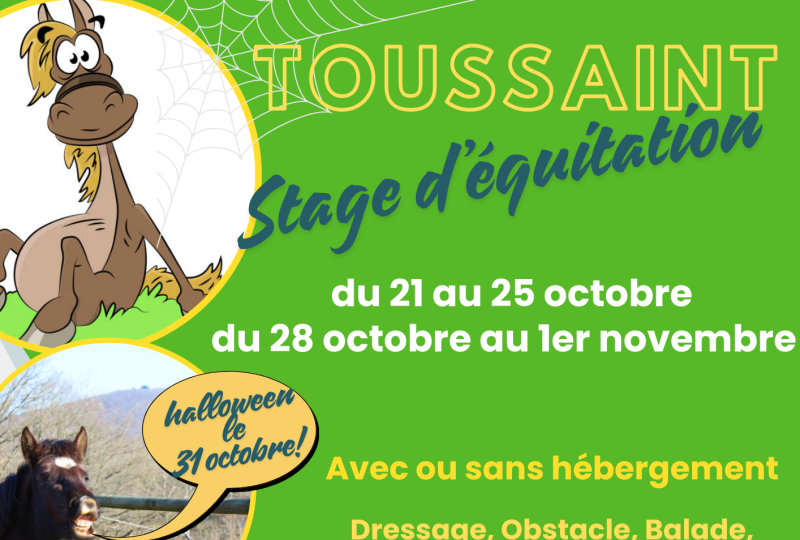 Les Stages poney   9 - 12 ans  6 JOURS :    Et le rêve devient réalité !!