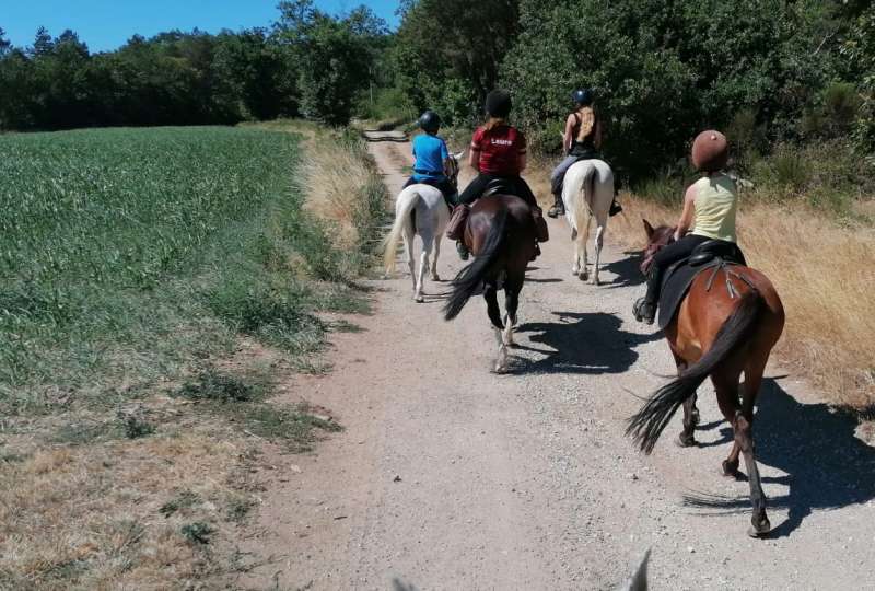 5 jours pour découvrir les joies de l'équitation d'extérieur
