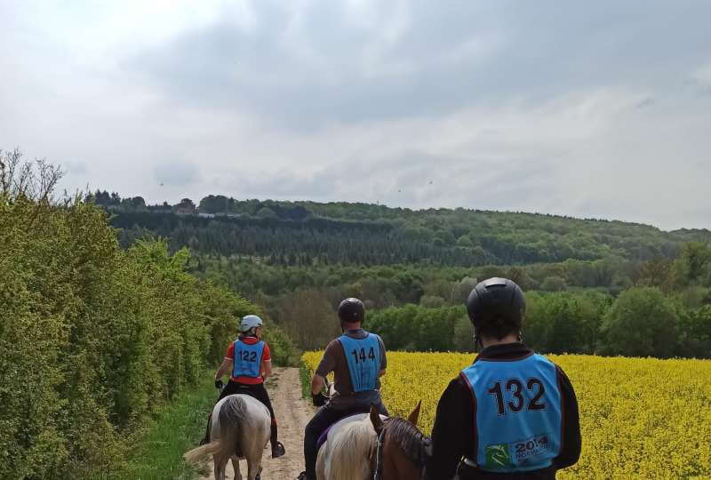 Découvrez l'endurance équestre avec nous !