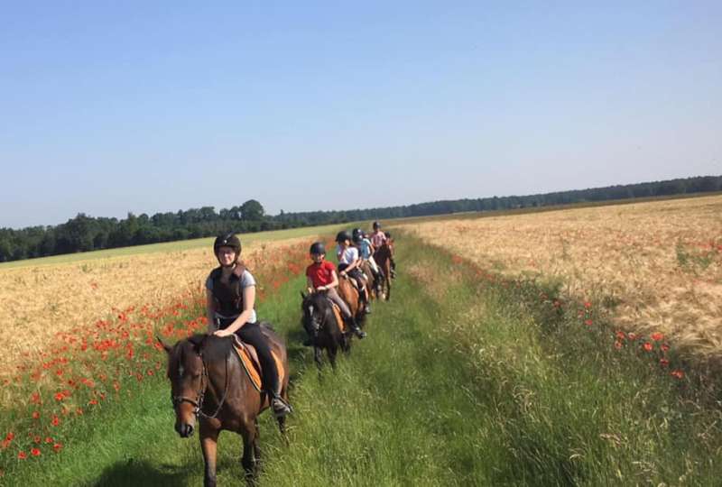 Séjour au Haras d'Oakland Juin - Juillet - Août