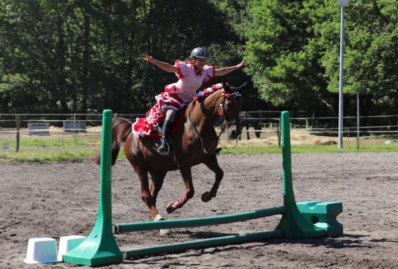 perfectionnement à l'obstacle et en dressage
