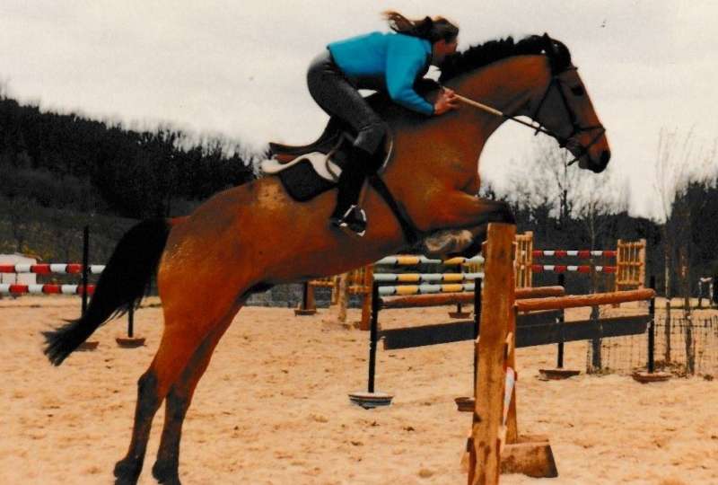 perfectionnement obstacle et dressage