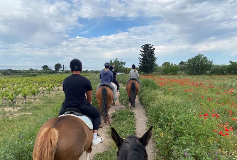 Balade à cheval ou à poney 1h
