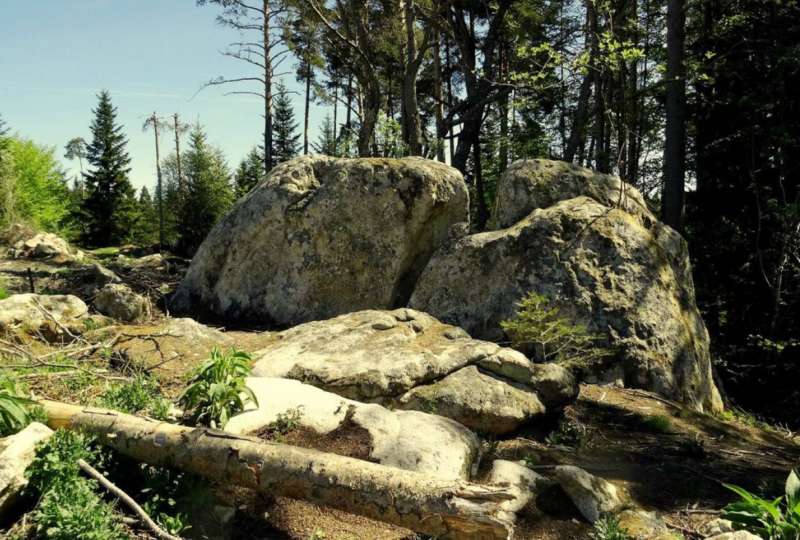 Randonnée au Coeur du massif du Forez - 1 à 4 jours