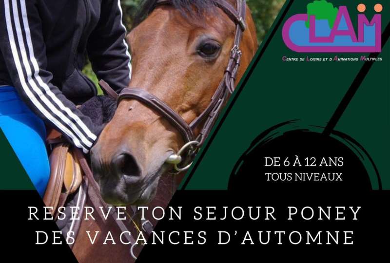 SEJOUR PONEY VACANCES DE LA TOUSSAINT