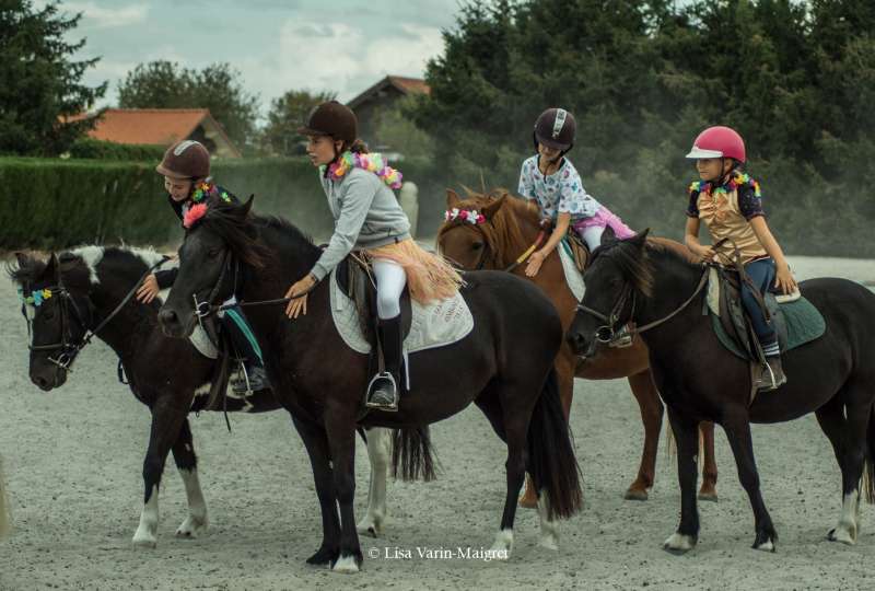 Gîte en plein cœur d'un centre équestre, avec possibilité de pratiquer l'équitation en fonction de votre choix. Stage perfectionnement / Stage d'initiation