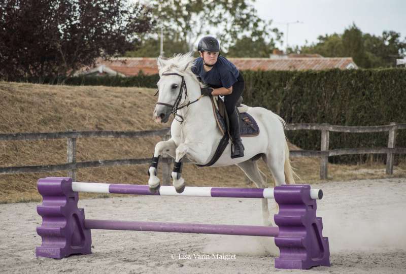 Gîte en plein cœur d'un centre équestre, avec possibilité de pratiquer l'équitation en fonction de votre choix. Stage perfectionnement / Stage d'initiation