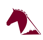 Equifun débutant à galop 2 2