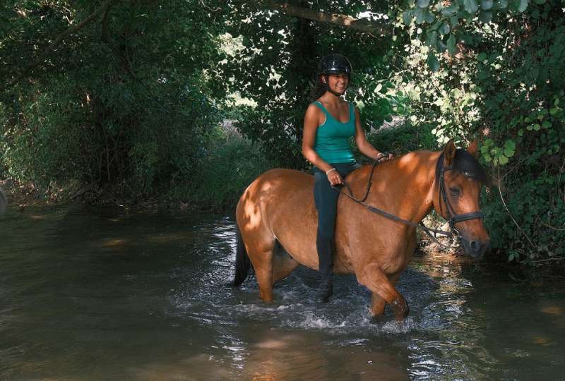 Stage équitation à la journée