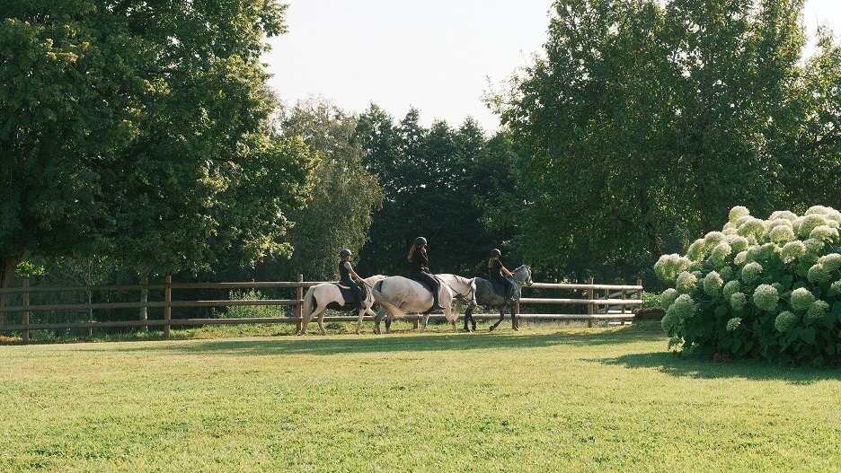 Stage équitation à la journée