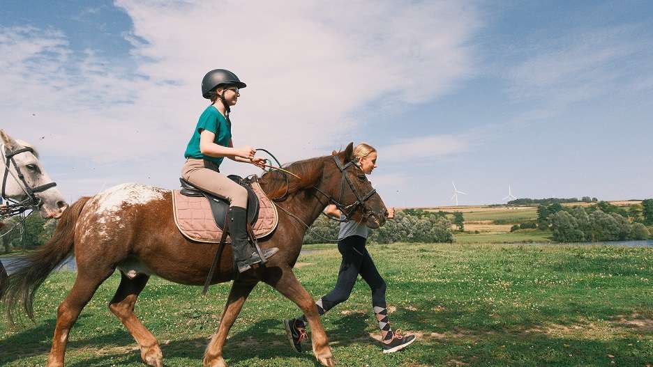 Stage équitation à la journée