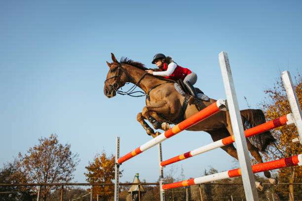 Saut d'obstacles galop 3 et +