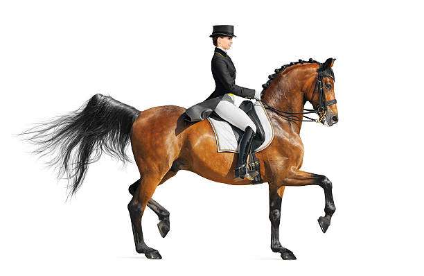 Dressage galop 3 et +