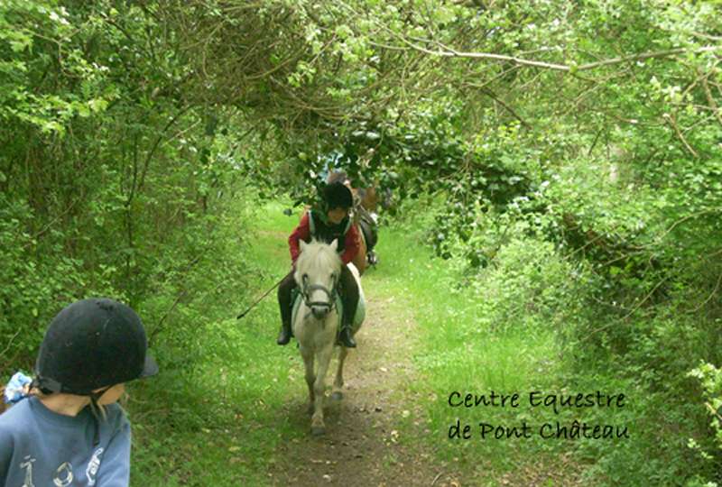DECOUVRE L'UNIVERS DES PONEYS