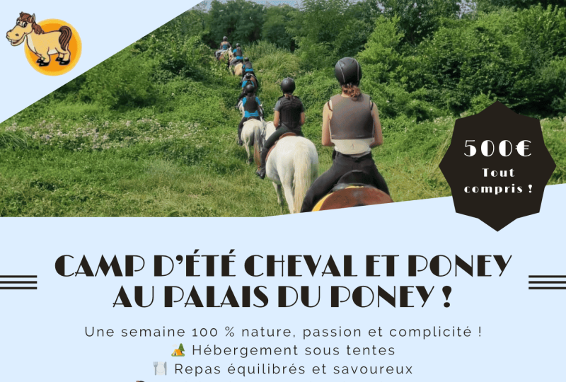 Comp d'été poney au Palais du Poney