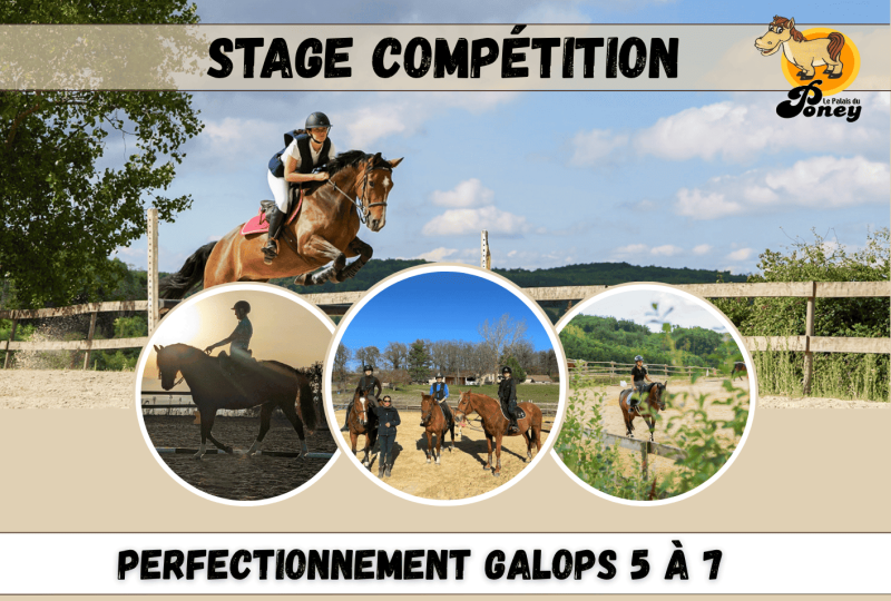 Stage compétiton au Palais du Poney