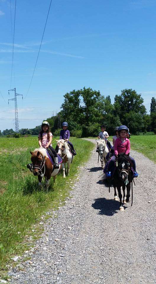 Travail à pied et Equifun