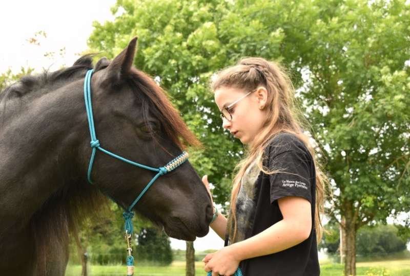 Stage Ados mini-camp équitation
