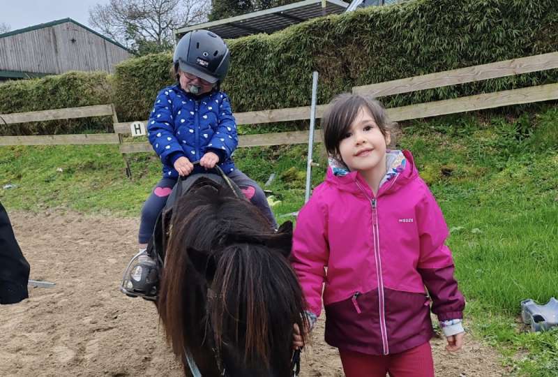 Baby poney