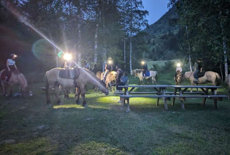 Balade nocturne