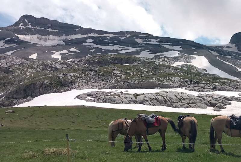 Randonnée itinérante ados en Vanoise et Maurienne