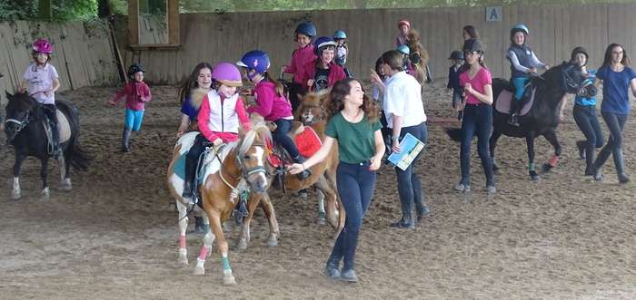 stage Galop 1 à 4