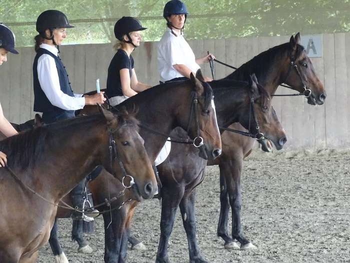Stage DRESSAGE de légèreté