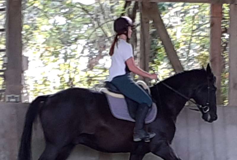 Stage DRESSAGE de légèreté