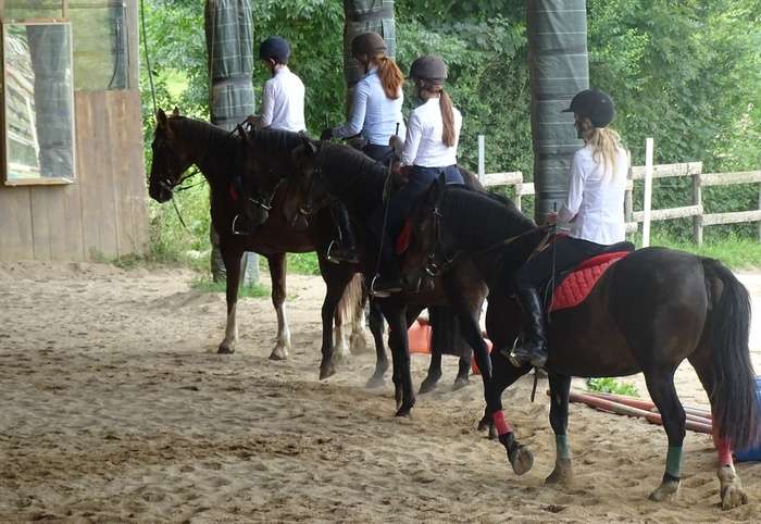 Stage DRESSAGE de légèreté