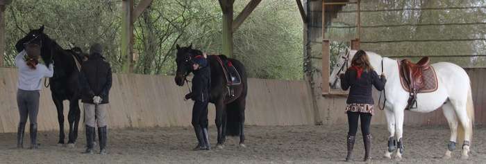 Stage DRESSAGE de légèreté