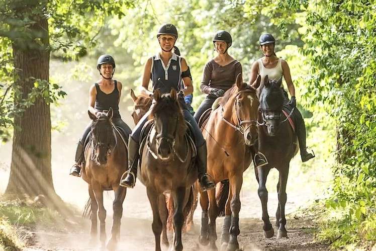 Promenade évolution Horse Holidays France