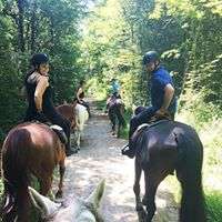 Promenade évolution Horse Holidays France