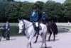 Promenade exploration Horse Holidays France