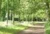 Promenade exploration Horse Holidays France