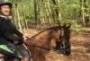 Promenade exploration Horse Holidays France