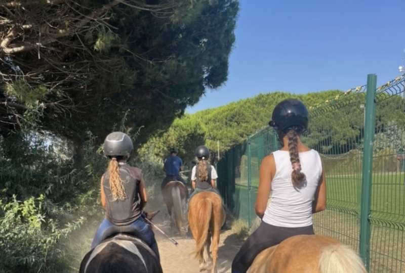 stage d'équitation et balades