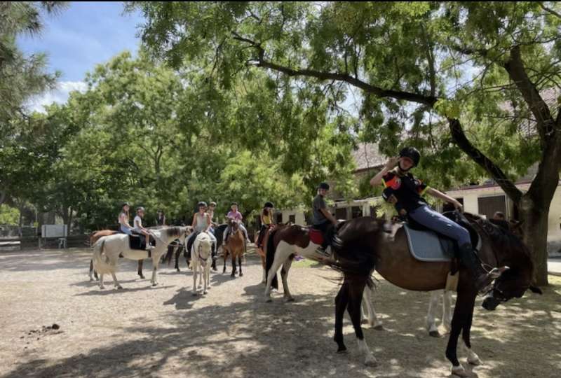stage d'équitation et balades