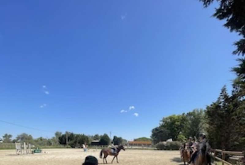 stage d'équitation et balades
