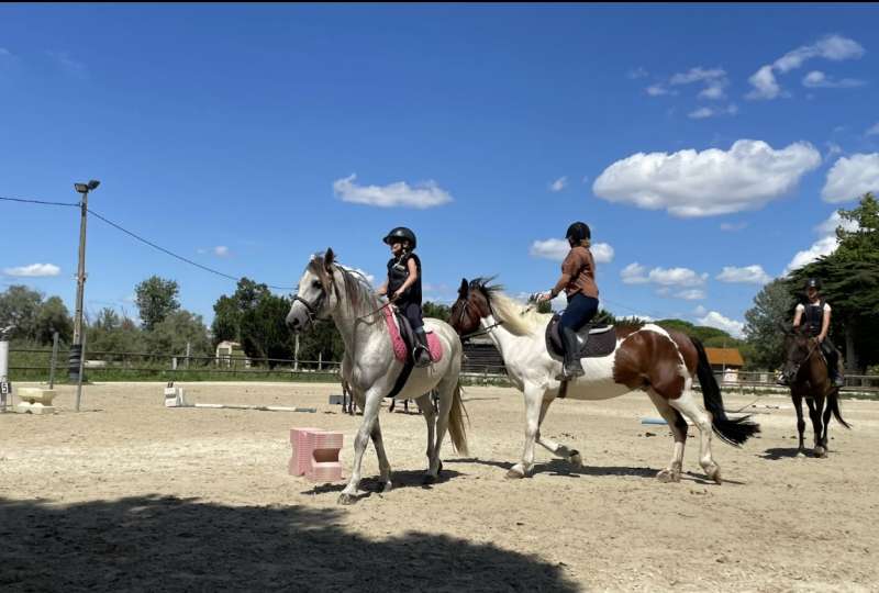 stage d'équitation et balades