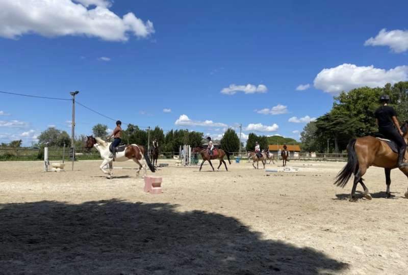 stage d'équitation et balades