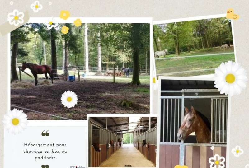 Accueil cavaliers chevaux de passage