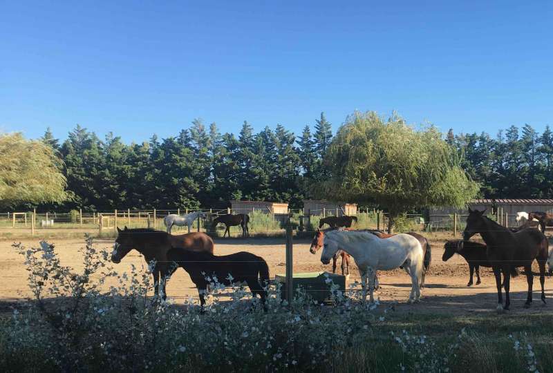 VACANCES DE TOUSSAINT
