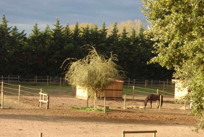 VACANCES DE TOUSSAINT
