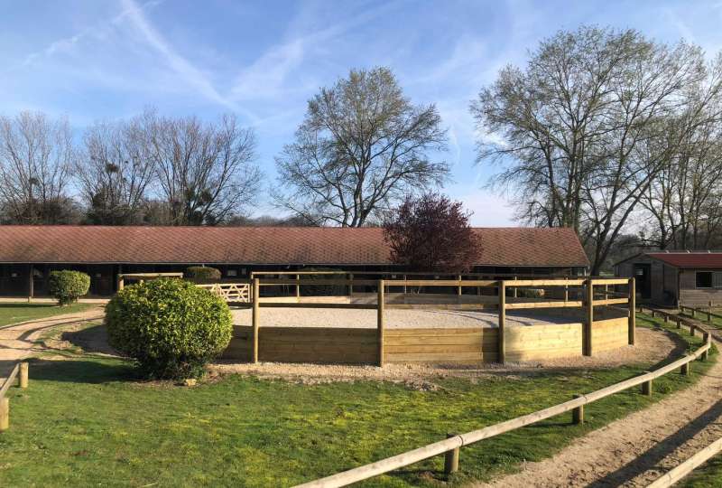 Balades à poney et à cheval