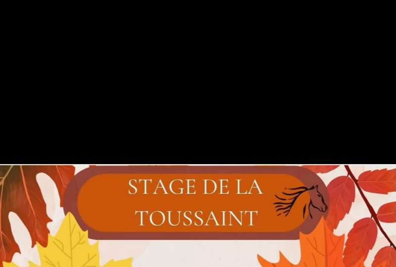 Stages pendant les vacances d’octobre