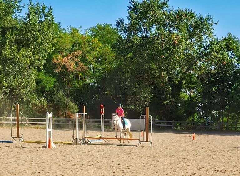 100% équitation