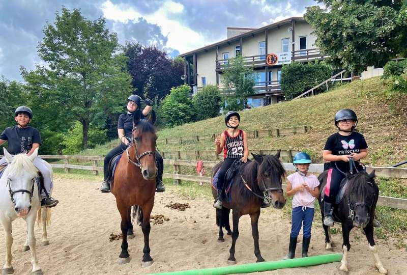 100% équitation